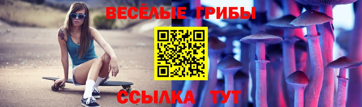 Псилоцибиновые грибы Cubensis  дарнет шоп  Вход с VPN  Бугульма  Галлюциногенные грибы Psilocybe 